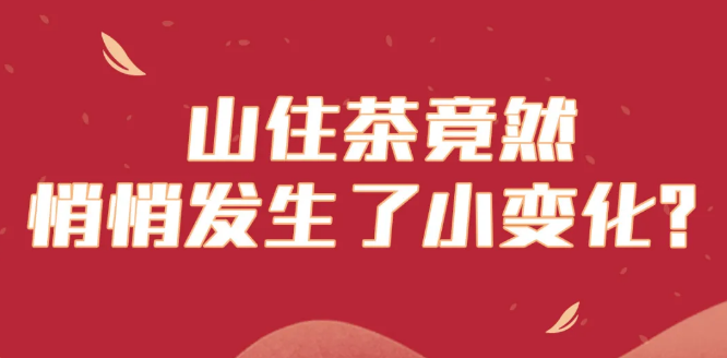 山住茶 | 什么？菜單竟然發(fā)生變化了？