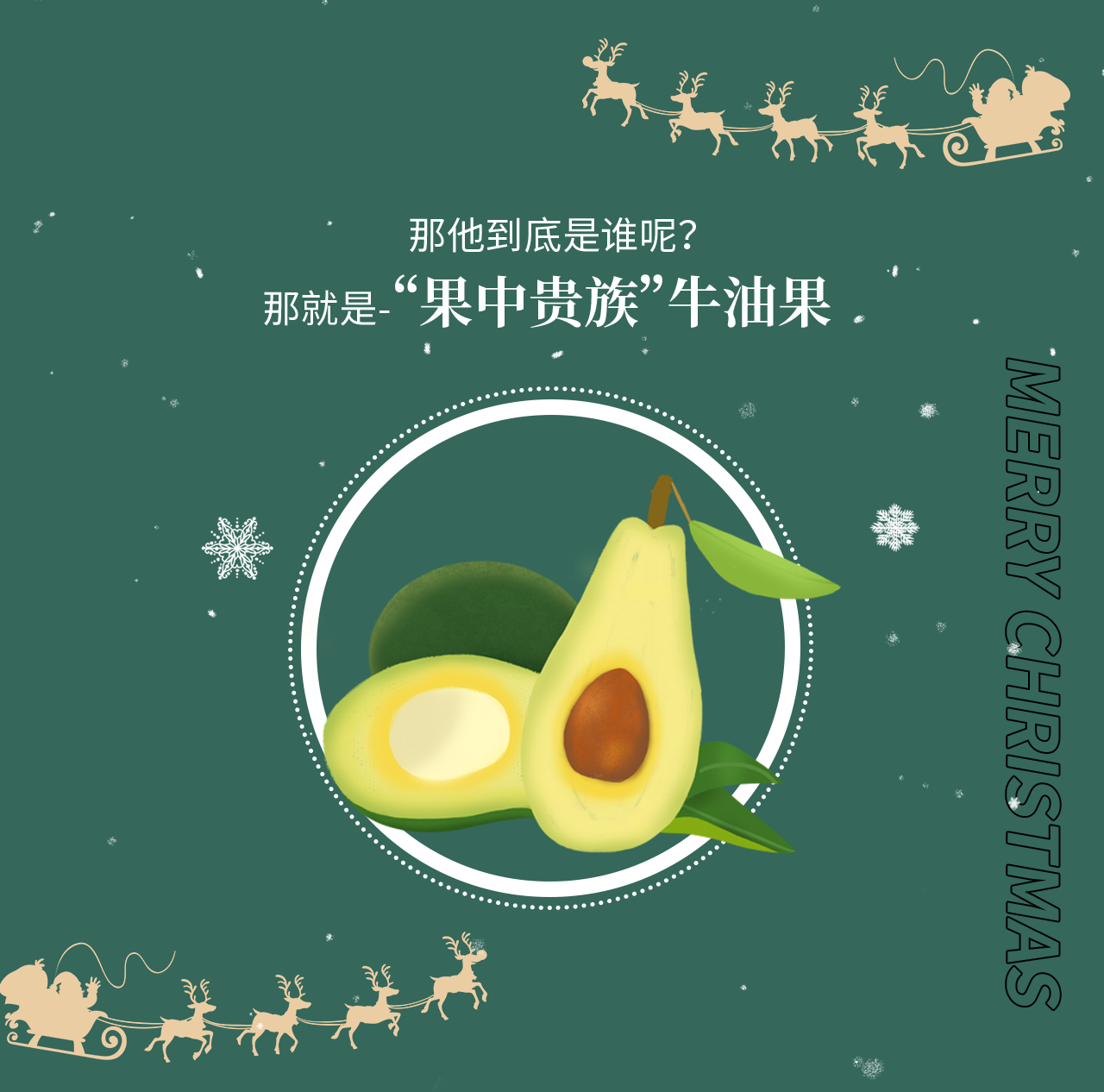 牛油果預(yù)熱推文_04.png