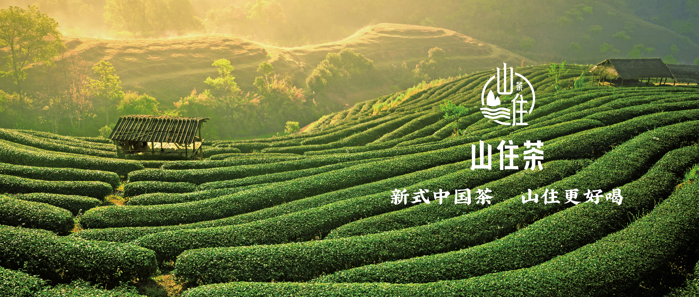 山住茶 | 福利和茶香邀你來(lái)開(kāi)元上城店飲一杯茶