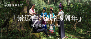 山住茶|北緯22°東經(jīng)100°景邁白茶獻(xiàn)禮9周年