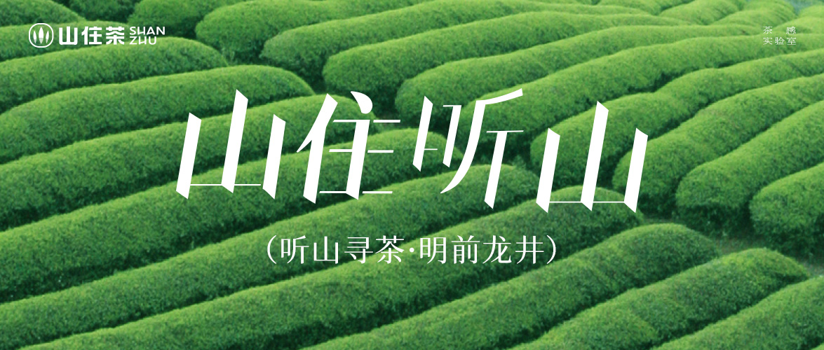 2025聽山尋茶｜地理標志認證，浙江越州·龍井